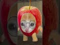 Banana Cat at School #gmod 🍌😹