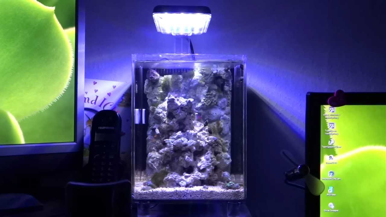 Plafoniere Led Per Nanoreef : Atb blau aquaristic nano reef led w youtube