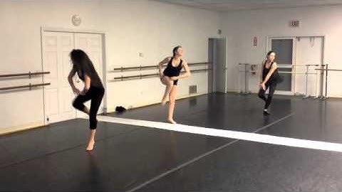 The Winner Is- Transcendentalism project