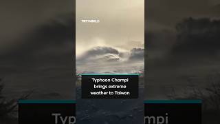 Typhoon Champi brings strong winds and giant waves to Taiwan