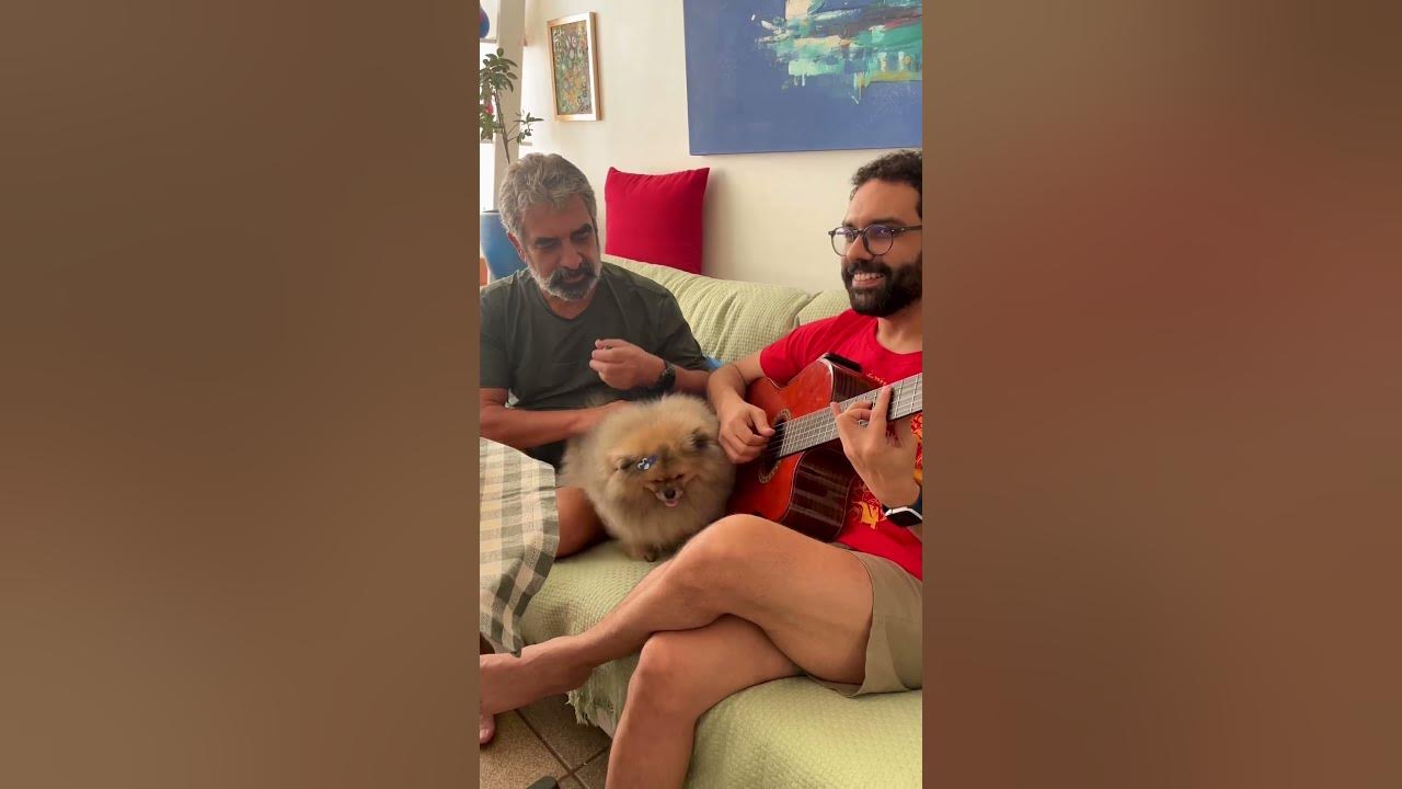 O Que é o Amor? - Vitor Peixoto e Marcos Peixoto (Arlindo Cruz) #violao #arlindocruz #musica #samba