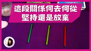 這段關係該何去何從？要堅持還是該放棄？愛情十字路口的抉擇💖塔羅占卜｜愛情感情｜不限時間