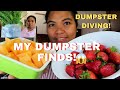 BUHAY AMERIKA: PANDEMIC DUMPSTER DIVING ETO NA! :D