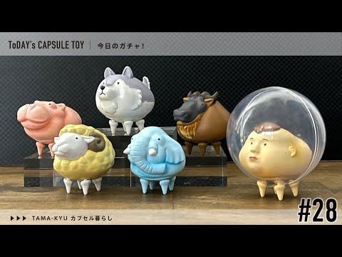 ガチャガチャのやつ 28 今日のガチャ!(カプセル暮らし) / Gashapon capsule toy