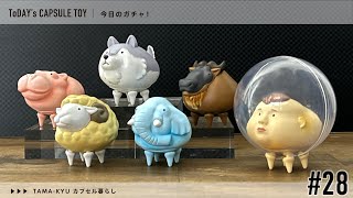 ゆず カプセル ガチャ Jドリーム -カプセルトイ- on X: 