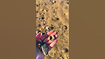 #عبدالرحمن_مسعد💐💐 #عبدالرحمن_مسعد_تلاوة_جديدة #shortvideo #اكسبلور #foryou #تصويري #short #like