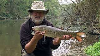 Upper Severn Barbel- Fishing with Des Taylor