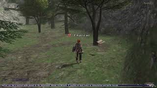 Final Fantasy XI Guide: San d'Oria Mission 2-2 The Davoi Report