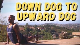 Movement Demo | Down Dog To Upward Dog by ConstantlyVariedFitness 363 views 3 years ago 22 seconds
