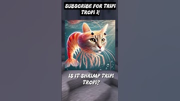Thumbnail of TRIPI TROPI VS TRIPI TROPI 2 #brainrot #memes