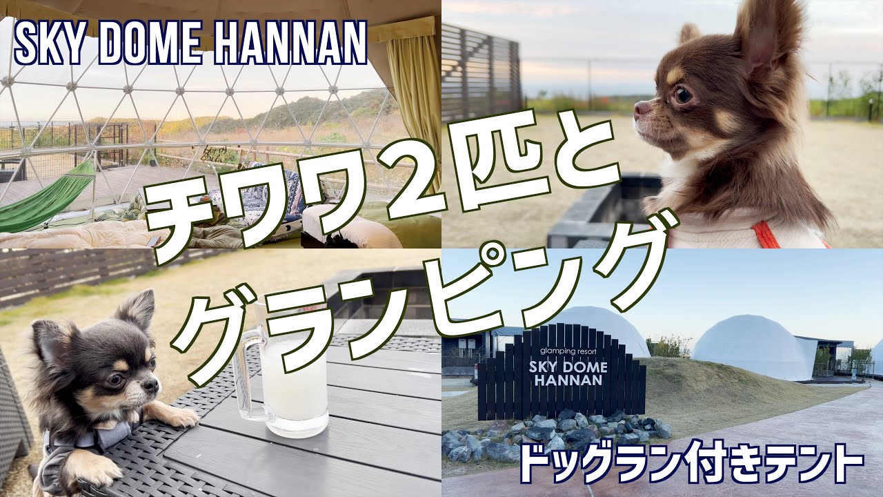 【スカイドーム阪南】犬２匹と行くグランピングが最高に楽しかったVlog