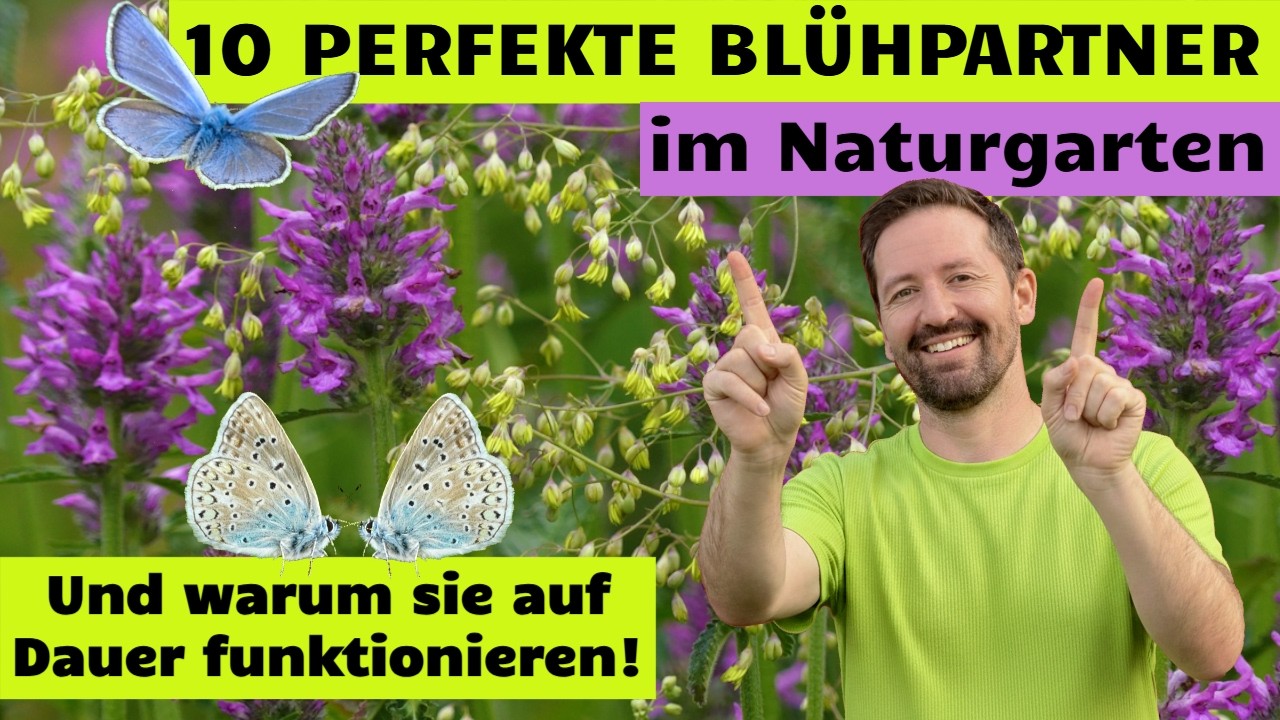 10 Perfekte Blühpartner im Naturgarten und warum sie funktionieren! Inspiriert von Naturstandorten