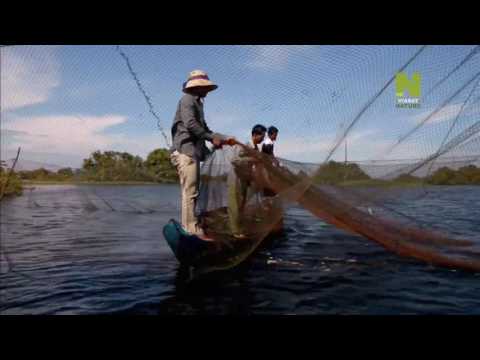 Video: Kämpar Med Abstrakta Tankar I Kambodja - Matador Network