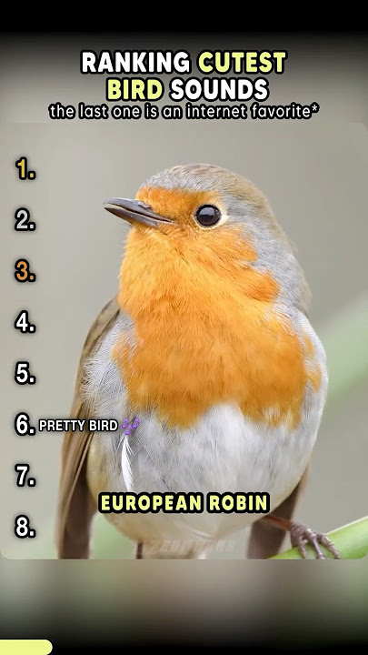 Top Cutest Bird Sounds #shorts