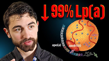 Lp(a) Explained: Genetics, Risk, and What You Can Actually Do