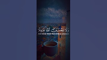 تلاوة سورة إبراهيم 🌿القارئ شريف مصطفى 🌿