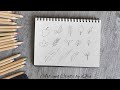 Different types of Leaves Drawing | Easy Leaf Drawing for Beginners