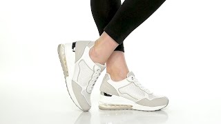 Steve Madden Seattle Sneaker SKU: 9872314