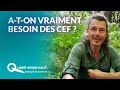 Pourquoi utiliser les cef de koltsov 