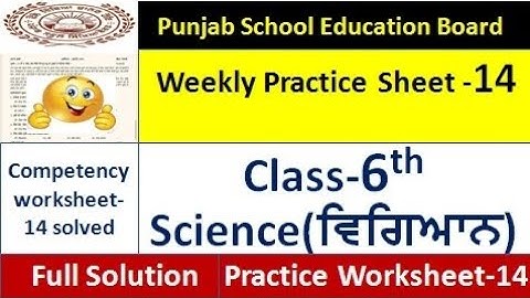 pseb 6th class science worksheet 14 test 2024 6th class science weekly practice sheet full solution