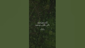 #قرآن كريم #اكسبلور#النظافه#الرحمن #راحة_نفسية#استخدموا الصوت سبحان الله وبحمده سبحان الله العظيم ١٠