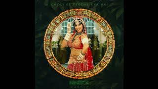 Choli Ke Peeche Kya Hai (NineFX Mashup) | Bollywood | Afro House