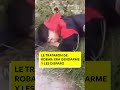 🔴 LE TRATARON DE ROBAR: ERA GENDARME Y LES DISPARO