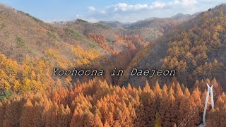 [DAEJEON VLOG] | 대전여행 | 성심당 | 장태산 | 엔학고레 | 회사출장 | 1박2일
