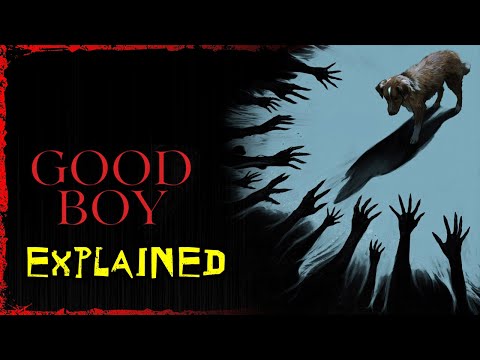 GOOD BOY Explained