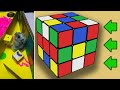 Хомяк проходит лабиринт Кубик Рубик 🐹Лабиринты для хомяков