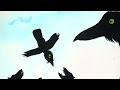 Raven calls wolf an animation: how birds and mammals have learnt to coexist since the ice age