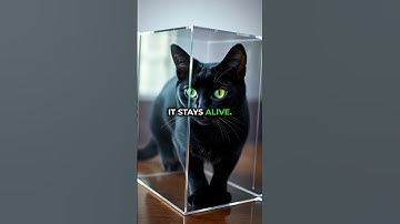 Schrödinger’s Cat: The Biggest Paradox in Quantum Physics! 🐱⚛️