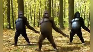 Korupsilah Selagi Sempat Para Penghianat Negara Dan Bangsa