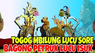Togog mbilung mbedah ngamarto lucu sore‼️bagong petruk ngajar durno lucu isuk