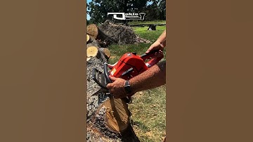 27 Inch Echo CS-620PW in White Oak Please #chainsaw  #echousa #shorts