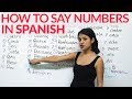 Spanish Numbers and Useful Phrases Quiz