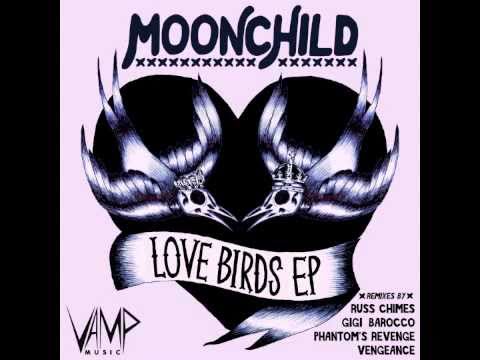 在 YouTube 上观看 Moonchild - Love Birds (Gigi Barocco Remix)