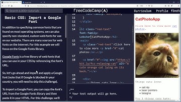 Import a Google Font Basic CSS via FreeCodeCamp Org