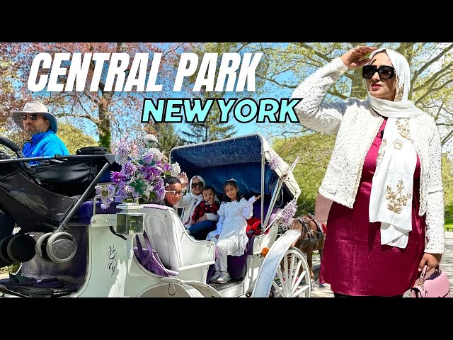 Central Park In New York _ আমেরিকার সবচেয়ে সুন্দর পার্ক🗽America Travel Vlog Bangla class=