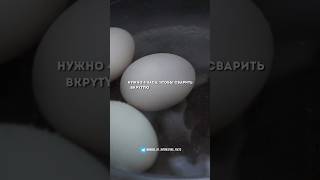 #факты #хочуфакты #реальныефакты #facts #удивительныефакты #рецепты #невероятныефакты