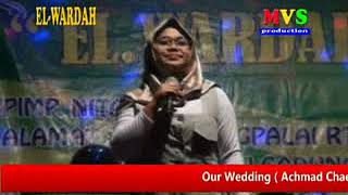 HABIBI   SELVI   EL WARDAH