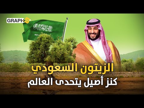 نفط السعودية الأخضر ملايين أشجار الزيتون تزرع في الصحاري