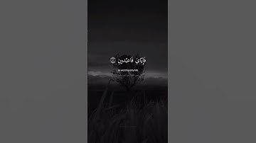 سوره عنکبوت 56-57  - هر نفس مرگ را میچشد