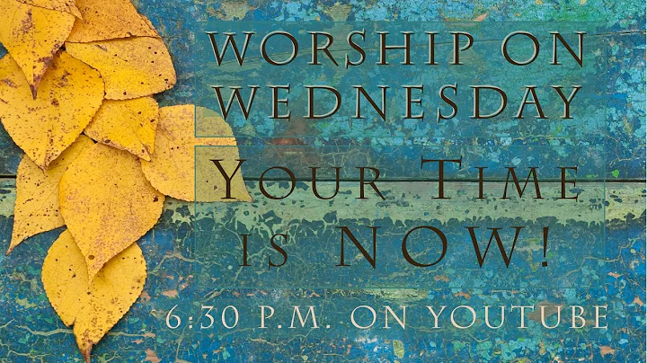 W.O.W. - Week 2 Your Time Is Now! - Christine Reye...