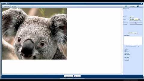 How to Upload Photos to MLS