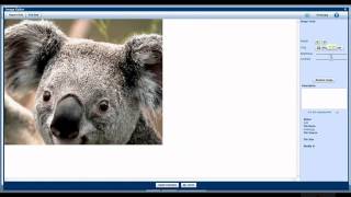 How to Upload Photos to MLS