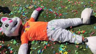 OLLU 5k Confetti Run & Walk is almost here!