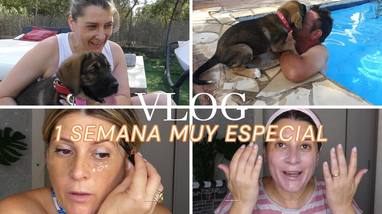 🎥VLOG /Adoptamos una perrita🐕/ mi suegra 🧓🏻 sufre un accidente casero