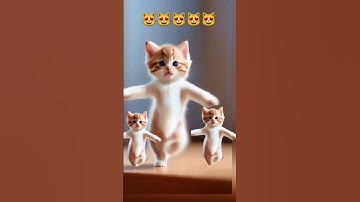 😻💃Cat videos funny dance 😻💃#cat #lovelyecats #catvideos #cute #shorts #ytshortsvideo