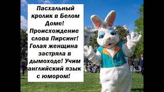 Пасхальный кролик в Белом Доме! Происхождение слова Пирсинг!  Учим английский язык с юмором!